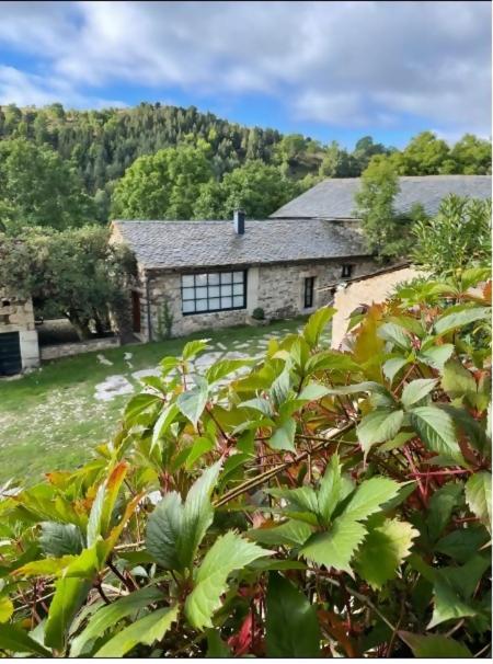 Le Chateau Brangoly (Adults Only) Enveitg Exteriör bild